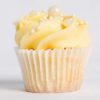 Cupcales-Mini-Vanilla-Bean-web