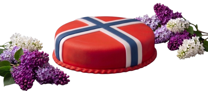 Catering, Catering 17 mai marsipankake